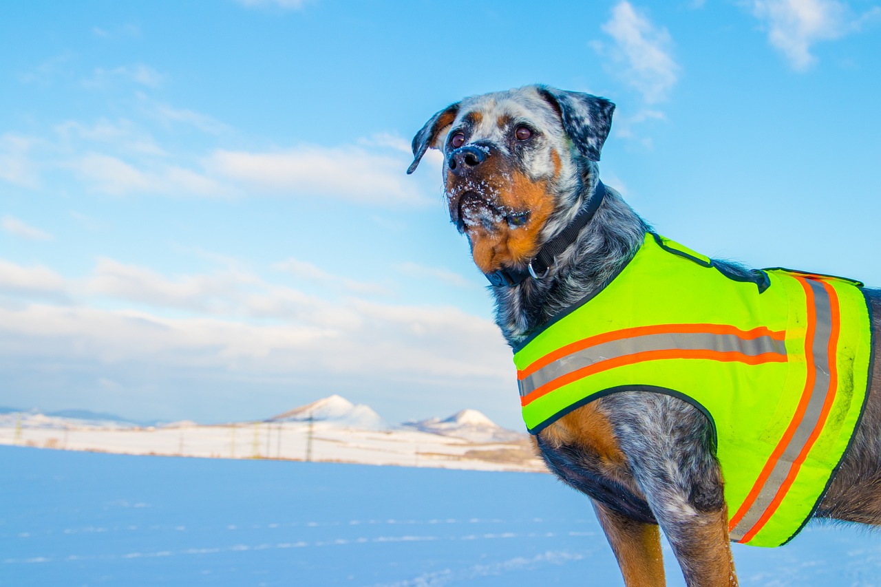Insights into the Influence of Human Behavior on Safety Measures